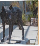 Lobo Statue On The Campus Of The University Of New Mexico Wood Print