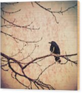Lone Crow Contemplating The Nature Of Reality Wood Print