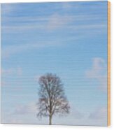 Lone Tree Wood Print