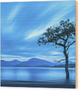 Lone Tree Milarrochy Bay Wood Print