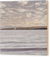 Lone White Sailboat In Ireland In Neutral Vintage Tones Wood Print