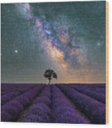Lonely Tree In A Lavender Field Under The Milky Way Wood Print