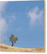 Lonely Tree On A Dry Field Against Blue Sky Wood Print