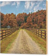 Long Autumn Fences In Hidden Valley Wood Print