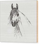 Arabian Horse Head 2011 02 14 Wood Print
