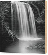 Looking Glass Falls Revisited Wood Print