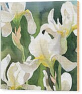 Loose Irises Wood Print