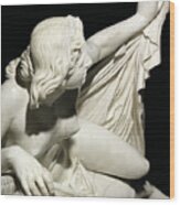 Love And Modesty, 1860 Marble Wood Print