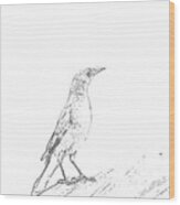 Lovely Bird Sketch Wood Print