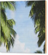 Low Angle View Of Palm Trees Under Blue Sky Wood Print