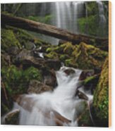 Lower Proxy Falls In Oregon's Willamette National Forest Wood Print