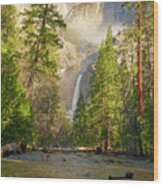 Lower Yosemite Falls Wood Print