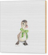 Lucky Ducky With Transparent Background Wood Print