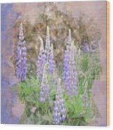 Lupine Cluster Texture Wood Print