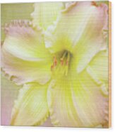 Luxurious Lily Wood Print
