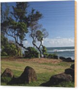 Lydgate Beach Park Wood Print