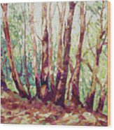 Madrone Grove Wood Print