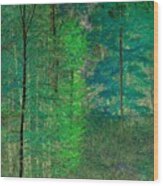 Night Forest Abstract Wood Print