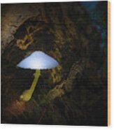 Magic Mushroom Wood Print