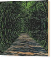 Magical Forest Path Wood Print