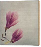 Magnolia Flower On Art Texture Wood Print