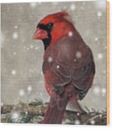Male Cardinal In Snow #1 Wood Print