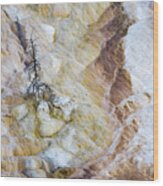 Lonely At Mammoth Hot Springs Wood Print