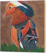 Mandarin Duck-fowl Play Wood Print