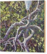 Mangrove Heron Wood Print
