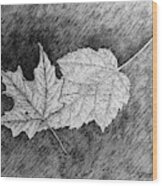Maple Leaves Wood Print