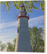 Marblehead Lighthouse Spring Leaves Wood Print