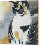 Marbles Calico Cat Painting Wood Print