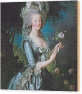 Marie Antoinette With A Rose Wood Print