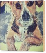 Beagle Rescue Wood Print