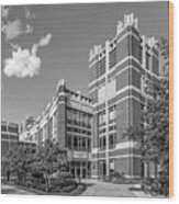 Marquette University Raynor Library Wood Print