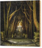 Mateus - Cypress Tunnel From The Top Wood Print