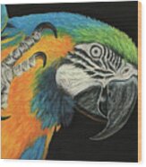 Max The Macaw #1 Wood Print