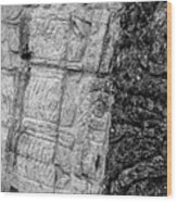 Mayan Wall Carvings - Chichen Itza Wood Print