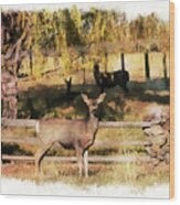 Meadow Deer W/ Dream Vignette Border Wood Print