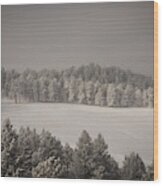 Mountain Meadow In Winter Wood Print