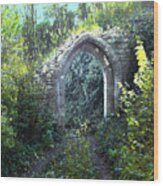 Woodland Archway Ruin Wood Print