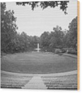 Meredith College Mciver Amphitheater Wood Print