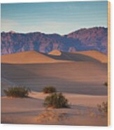 Mesquite Dunes In Death Valley Wood Print