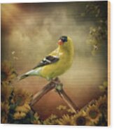 Midday Goldfinch Wood Print