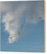Migrating Geese And Sky Wood Print