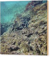 Mikhmoret Reef Ii Wood Print