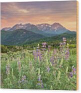 Mill Canyon Lupine Wood Print