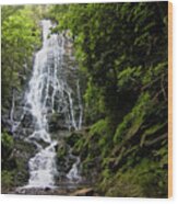 Mingo Falls Of Cherokee Nc Wood Print