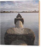 Mission Bay Drainage Pipe At Sunset Wood Print