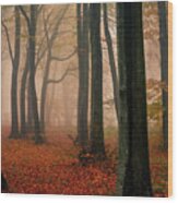 Misty Autumn Forest Wood Print